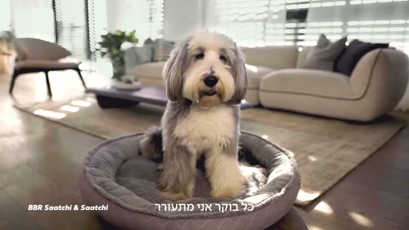 פרסומת אשטרום נכסים